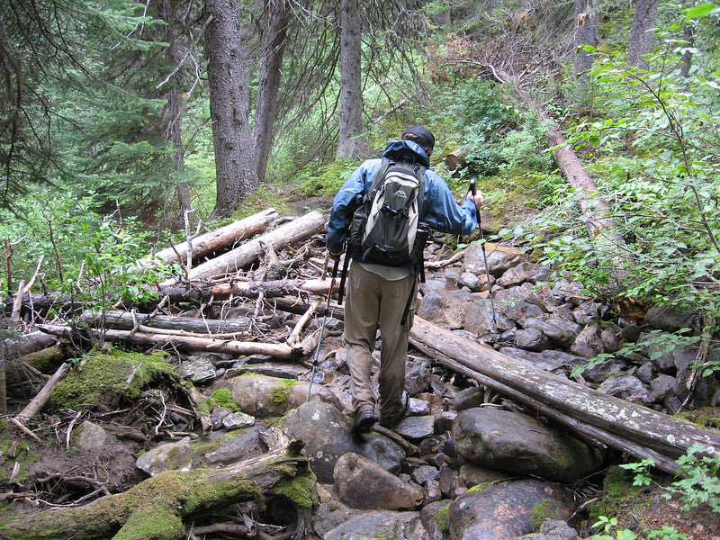 Man hiking through a mossy forest